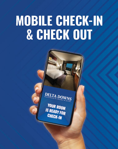 mobile check in image