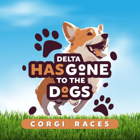 corgi races